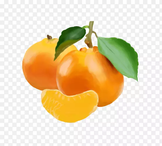 油画柑橘