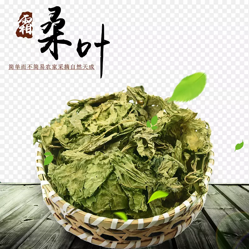 天然桑叶PNG图片素材下载_图片编号qgepjakq-免抠素材网