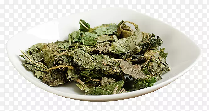 特级的桑叶
