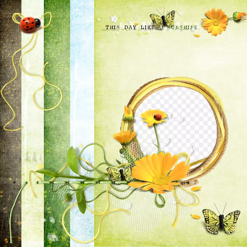 花朵蝴蝶瓢虫相框图片