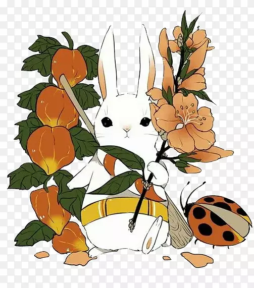 小兔子和花朵