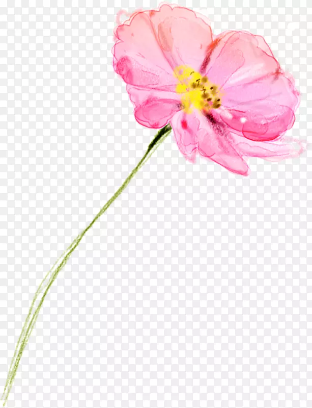 手绘粉色花卉水彩画展架
