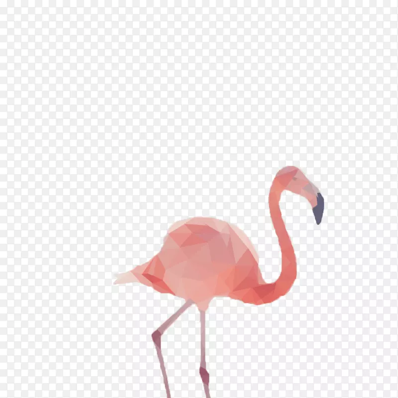 粉色的长腿鹤