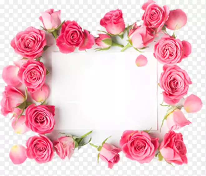 浪漫粉红玫瑰边框情人节装饰ps