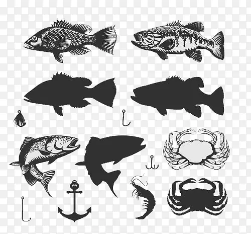 海鲜鱼类插画图片