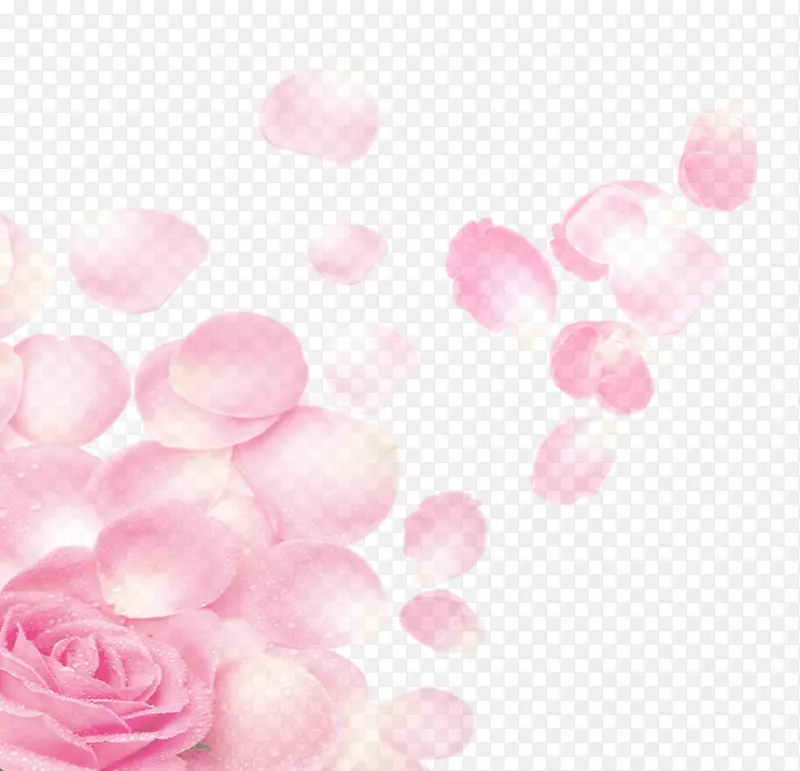 粉色鲜花花瓣装饰图案