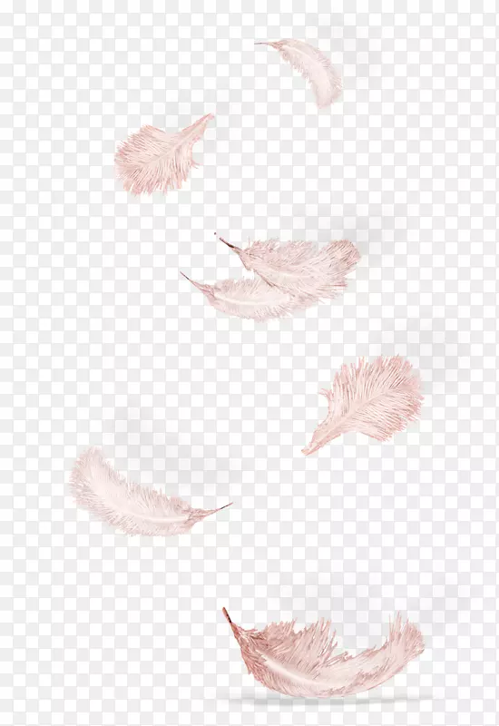 羽毛