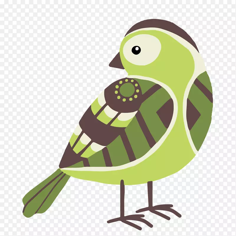 绿色的花纹小鸟设计
