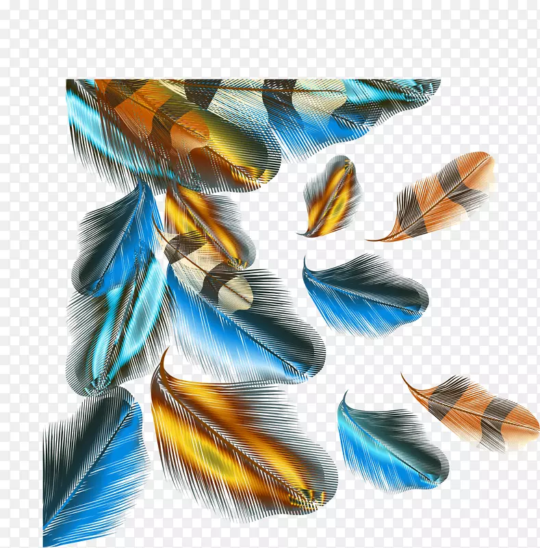 多彩鸟毛矢量彩色羽毛插图