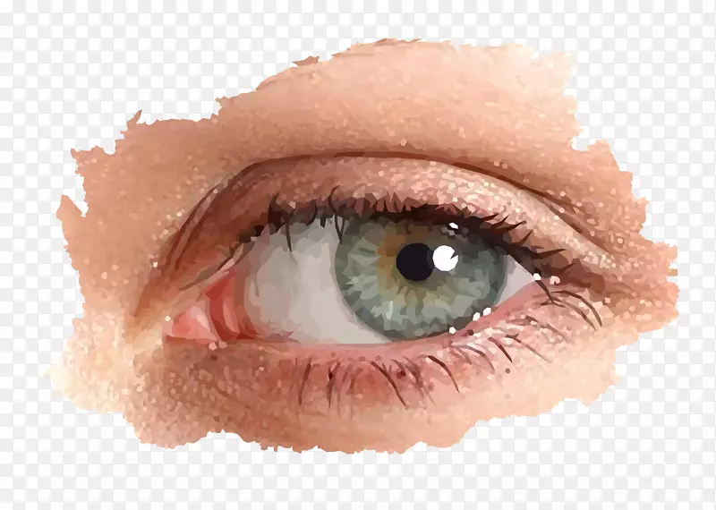 女人眼睛插画素材矢量