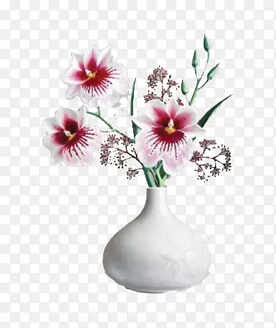 白色花瓶与渐变粉色蝴蝶花