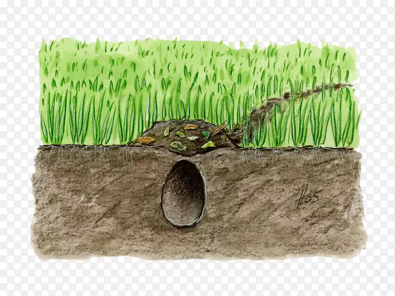 手绘草地下的泥土地洞