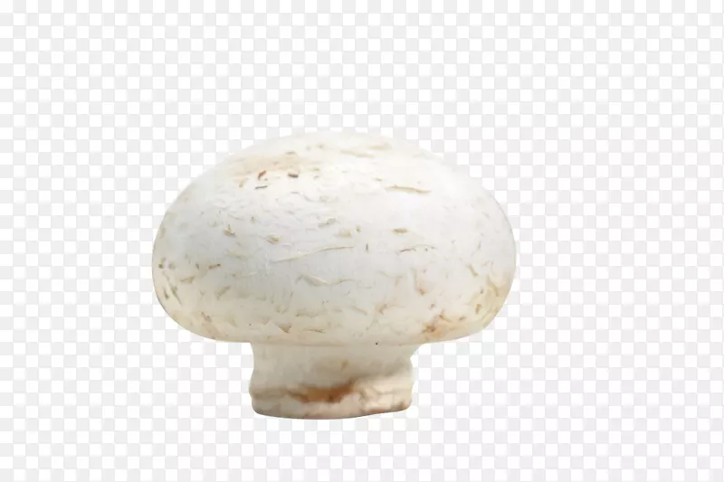 一颗新鲜的口蘑高清图片