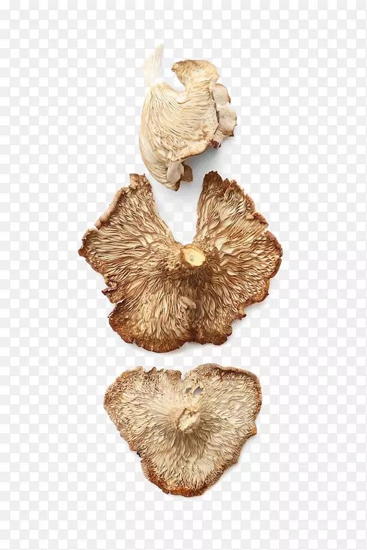 黄色干蘑菇