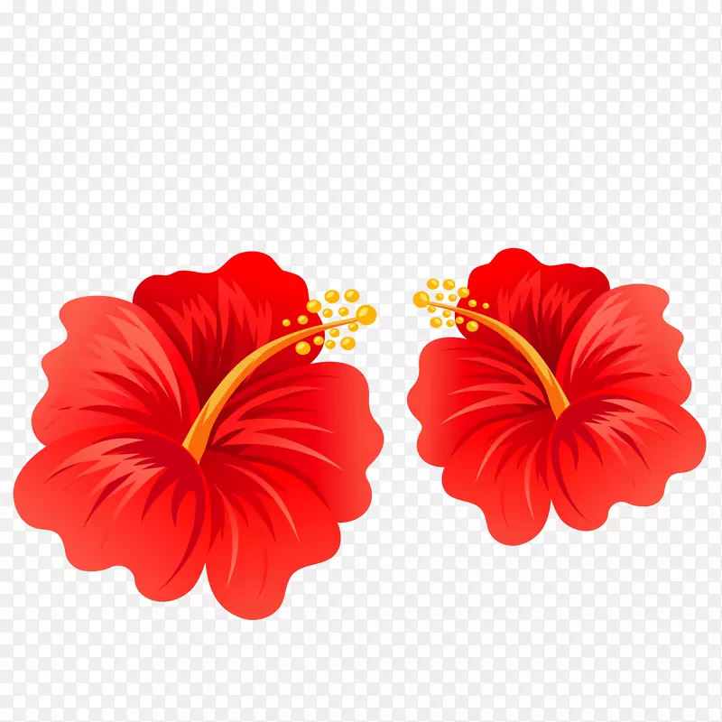 红白色两朵卡通扶桑花