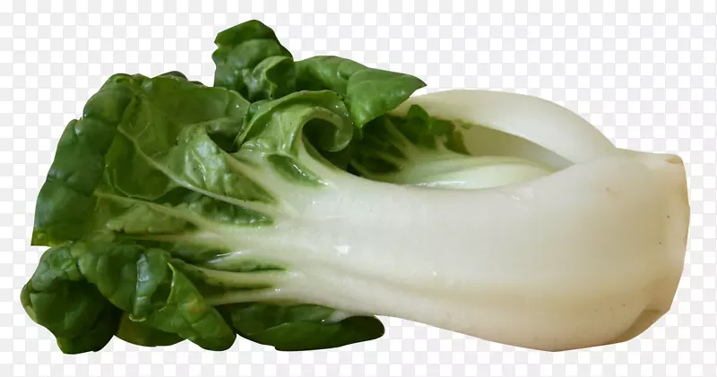 新鲜蔬菜的青菜免抠素材