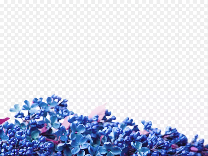 蓝色花蕾ppt模板