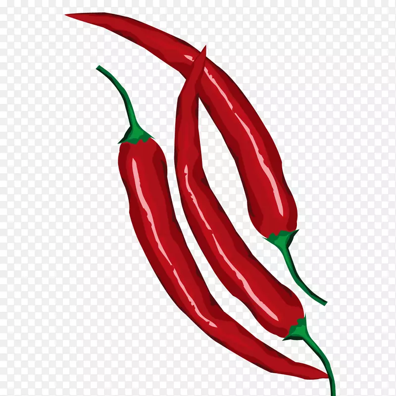 新鲜蔬菜红色小尖椒矢量