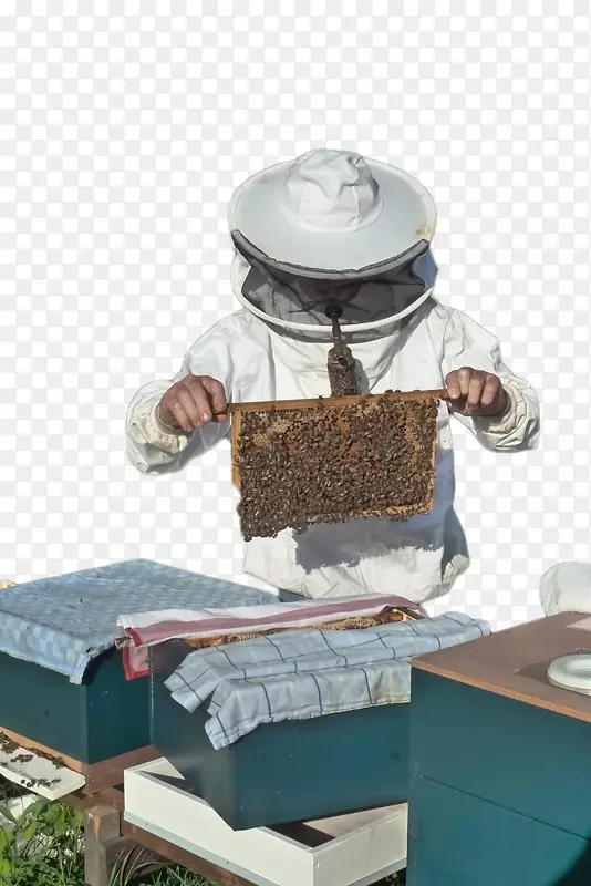 养蜂人素材