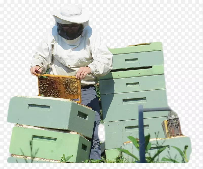 收集蜂蜜的人