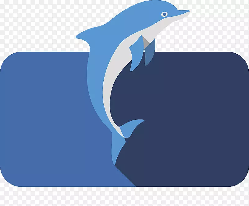 卡通海洋大海豚PNG