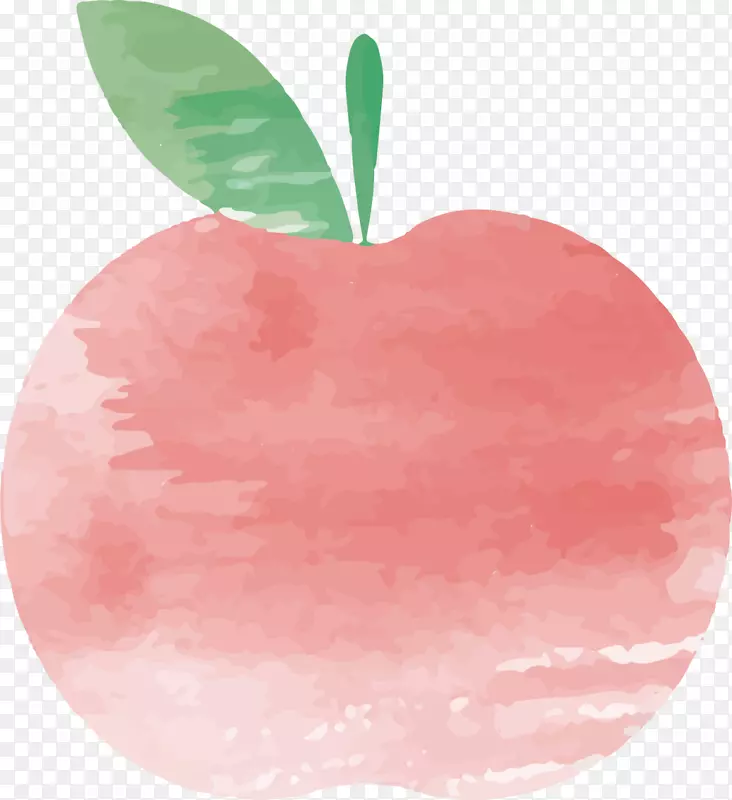 红色水彩美味苹果