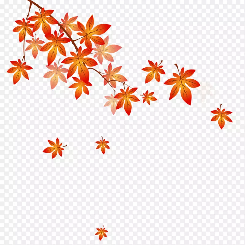 红色枫叶素材
