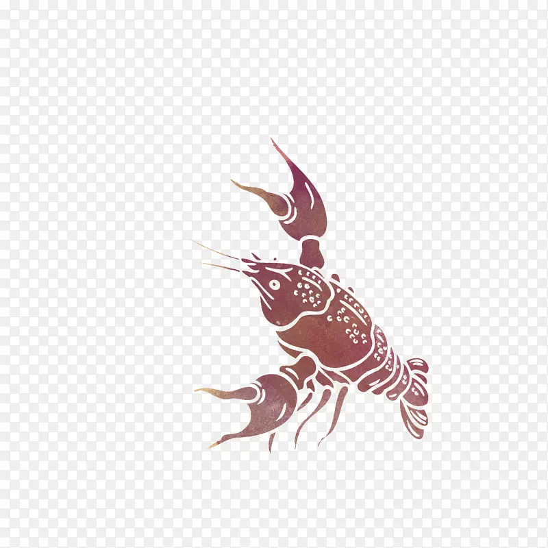 手绘海虾设计背景
