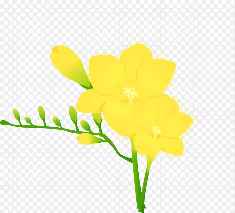 黄色花卉