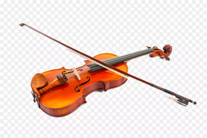 橙色手提琴
