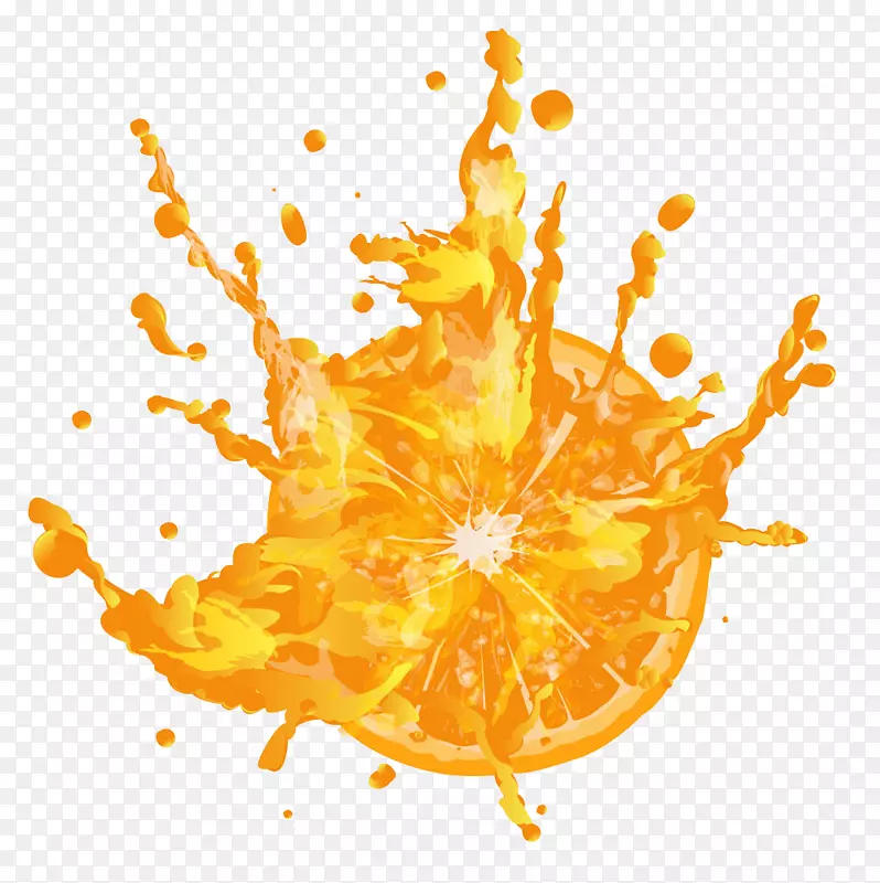 橙色的橙汁和橙子图片