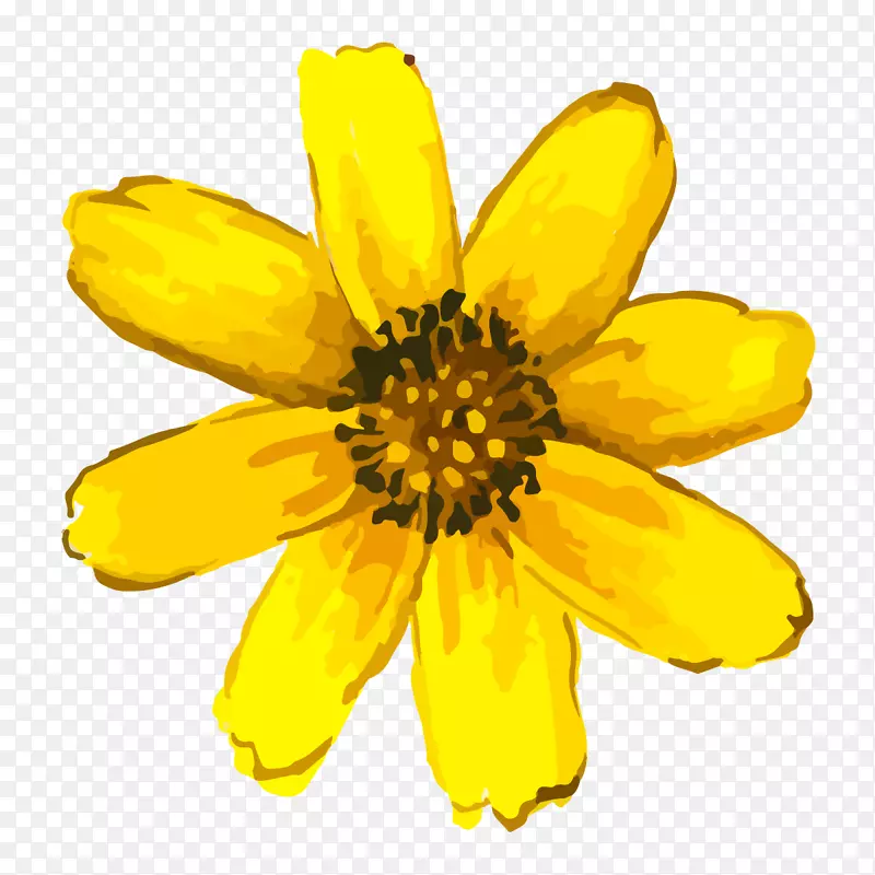 手绘水彩黄色大花朵
