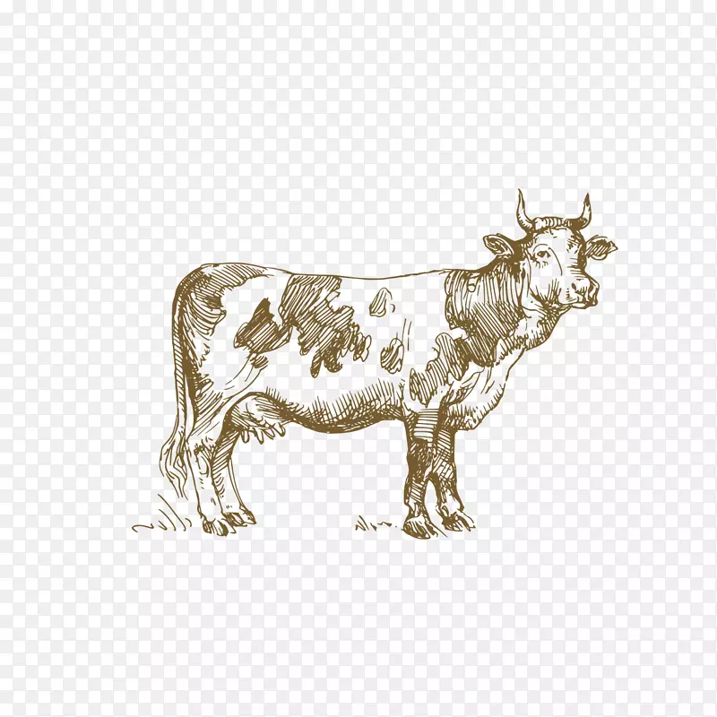 奶牛手绘
