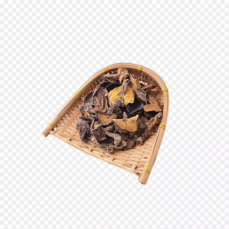 无根松蘑菇png图