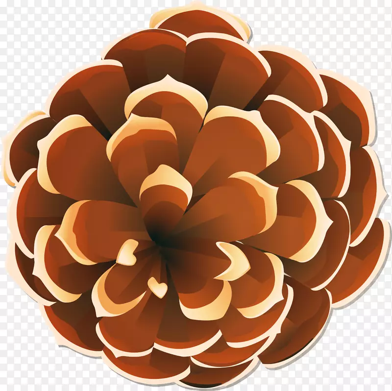 褐色卡通松果PNG图片素材下载_图片编号qlblzoeq-免抠素材网