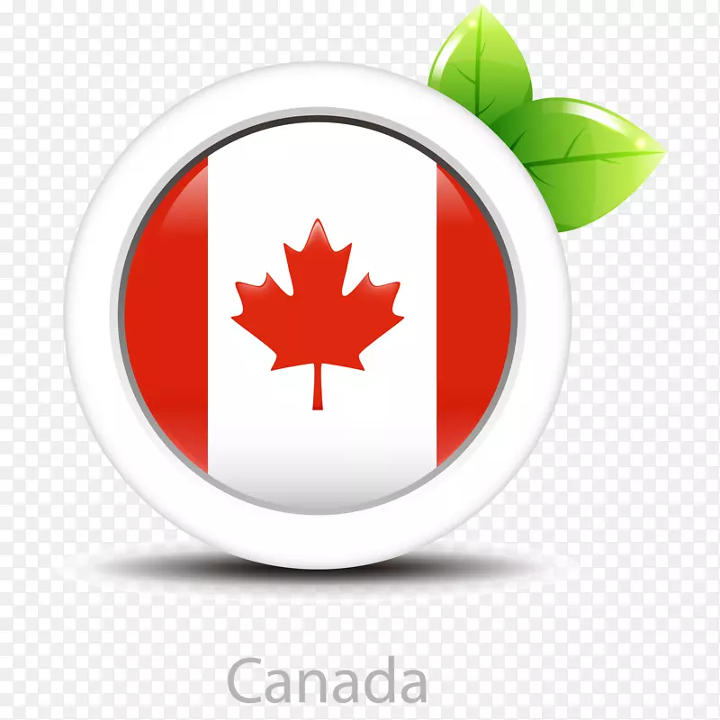 手绘卡通精美加拿大国旗图标