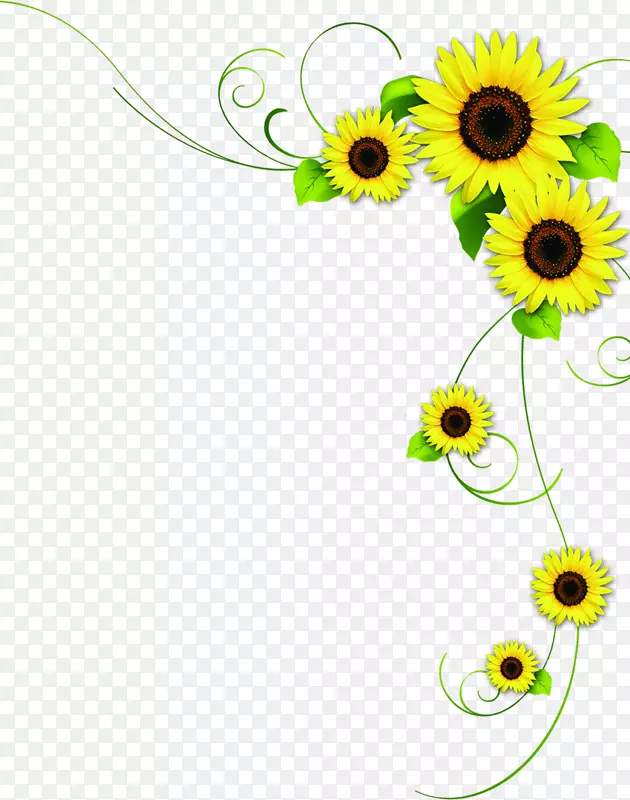 手绘黄色向日葵花朵边框装饰