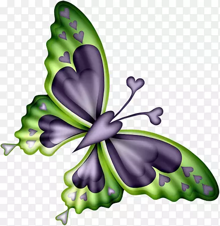手绘绿色翅膀的蝴蝶
