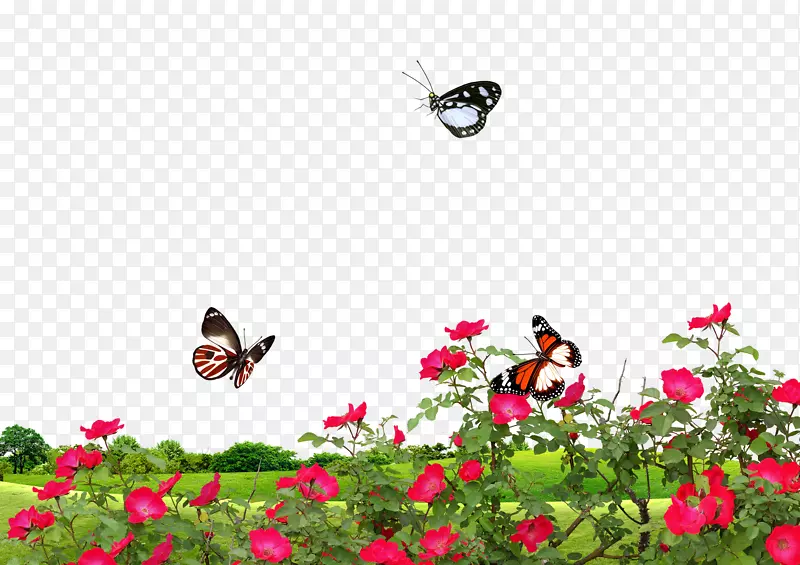 春季绿草红花背景效果