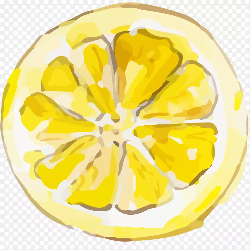 半个柠檬水彩插画