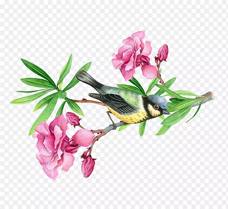 鲜花和小鸟