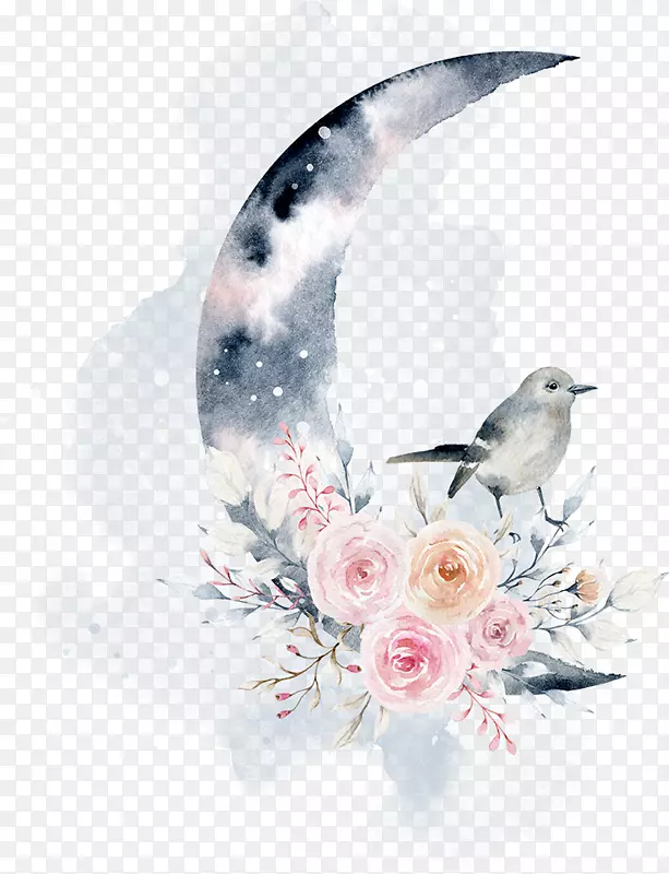 手绘月亮鲜花和鸟png