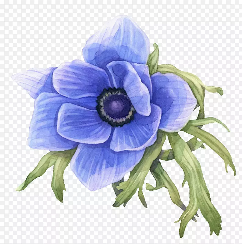蓝色手绘鲜花png