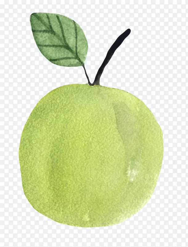 手绘绿色的梨子免抠图