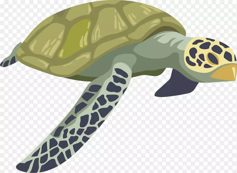 大海立体游动海龟