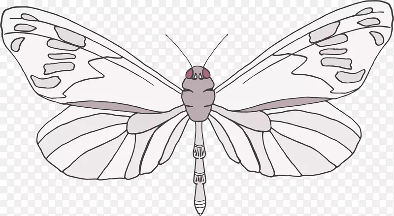 卡通手绘文艺简约蝴蝶动物插画设