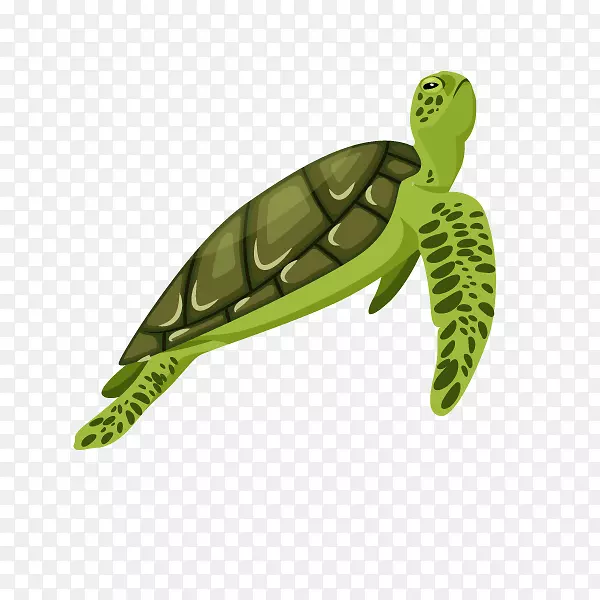 卡通装饰海洋生物海报设计海龟