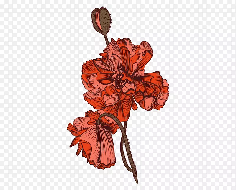 手绘漂亮的花朵png