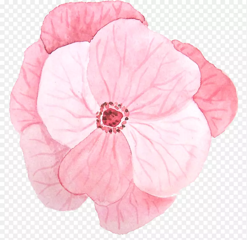 卡通花瓣免抠png装饰