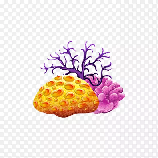 彩色手绘的海草素材